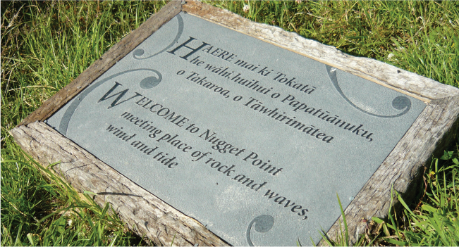 Nugget Point, Catlins