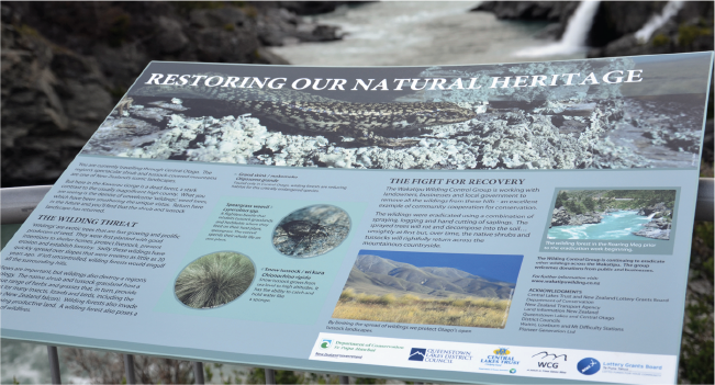 Roaring Meg, Wilding Pines